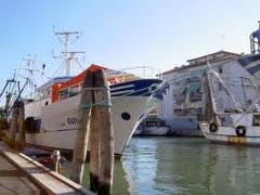 bando per riammodernamento impresca pesca in Veneto