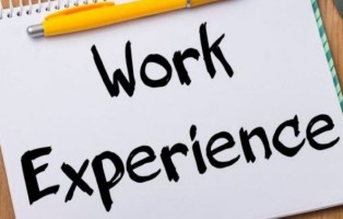 work-experience-800